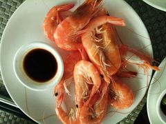 -339旋转餐厅(天府熊猫塔店)