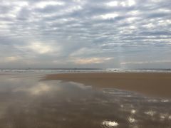 -日照海滨国家森林公园