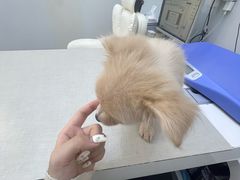 -拜鲁耶动物诊疗中心·宠家动物医院