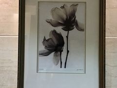 -黄浦区瑞金二路社区文化活动中心