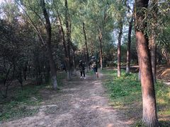 -亲兄弟真人CS团建拓展基地