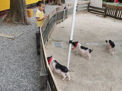 -前小桔亲子创意农场·草莓采摘·露营烧烤