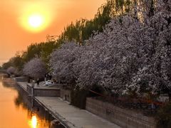 -元大都城垣遗址公园