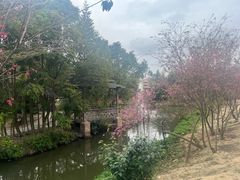 -丹樱生态园