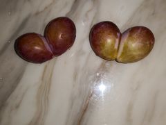 猪后颈肉-茶叁酒肆·楚味江湖(菱角湖店)