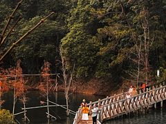 -广州市流溪河国家森林公园