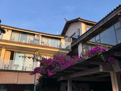 -大理老字号·舟渔的鱼野生菌海景餐厅(双廊店)