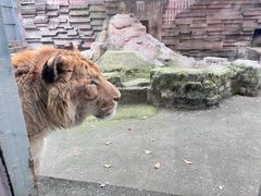 -宁波野生动物园