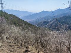 -大觉寺-停车场
