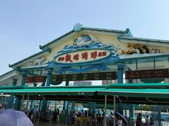 -海合安成都极地海洋公园