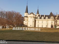 -北京张裕爱斐堡酒庄