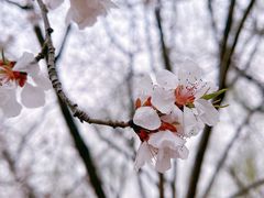 -颐和园