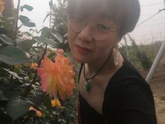 -意大利农场度假村