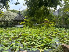 -上海醉白池公园