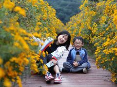 -广州市石门国家森林公园