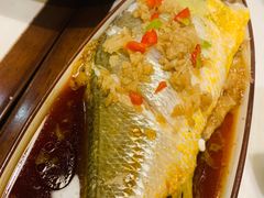 -火齐潮汕砂锅粥(五道口店)