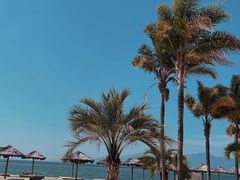 -月亮湾湿地公园
