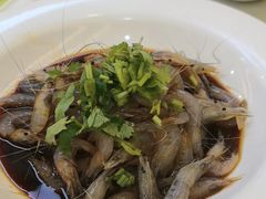 -苏启渔港(云南北路店)