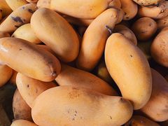 -红星农博物流中心