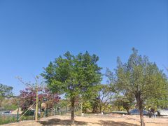 -长洲岛都市农业公园