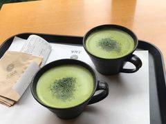 -雪绿茶博物馆