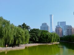 -团结湖公园