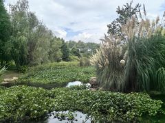 -贵阳市花溪国家城市湿地公园