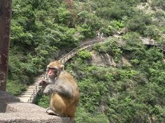 -白帝城·瞿塘峡景区