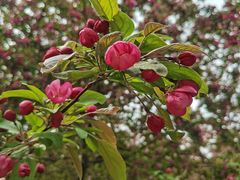 -元大都城垣遗址公园