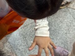 -上海大自然野生昆虫馆(东方明珠·爬宠昆虫探索中心)