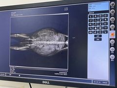 -安安宠医·安宠宠物医院