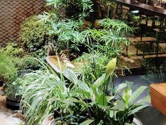 -川旺角川粤融合菜•海景餐厅(星海广场店)