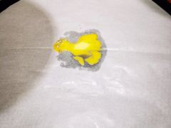 -酒拾烤肉(复地星光天地店)