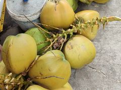 -渔家火锅·海鲜自助餐·演艺(亚龙湾天域酒店)