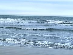 -日照海滨国家森林公园