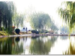 -中国海洋大学（崂山校区）-游泳馆