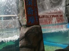 -成都浩海立方海洋公园