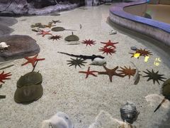 -福州罗源湾海洋世界旅游区
