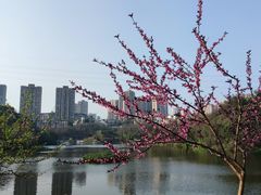 -重庆彩云湖湿地公园