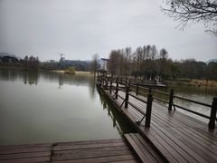 -浙江农林大学(东湖校区)