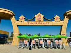 -金塔沙漠胡杨林景区