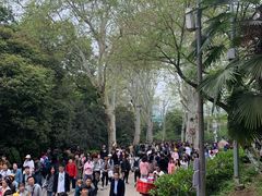 -武汉大学-樱园