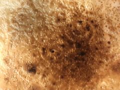 -新疆阿卜杜拉烧烤餐厅(四方坪店)