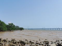 -宝安西湾红树林湿地公园