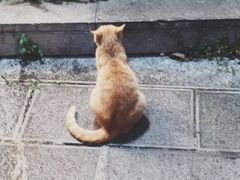 -知亘茶食