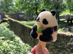 -都江堰中华大熊猫苑