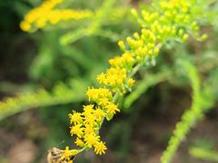 -国家植物园