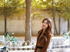 -三里屯东五街银杏大道