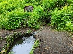-峡谷浮石林景区