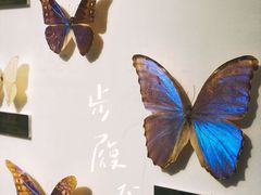 -上海昆虫博物馆